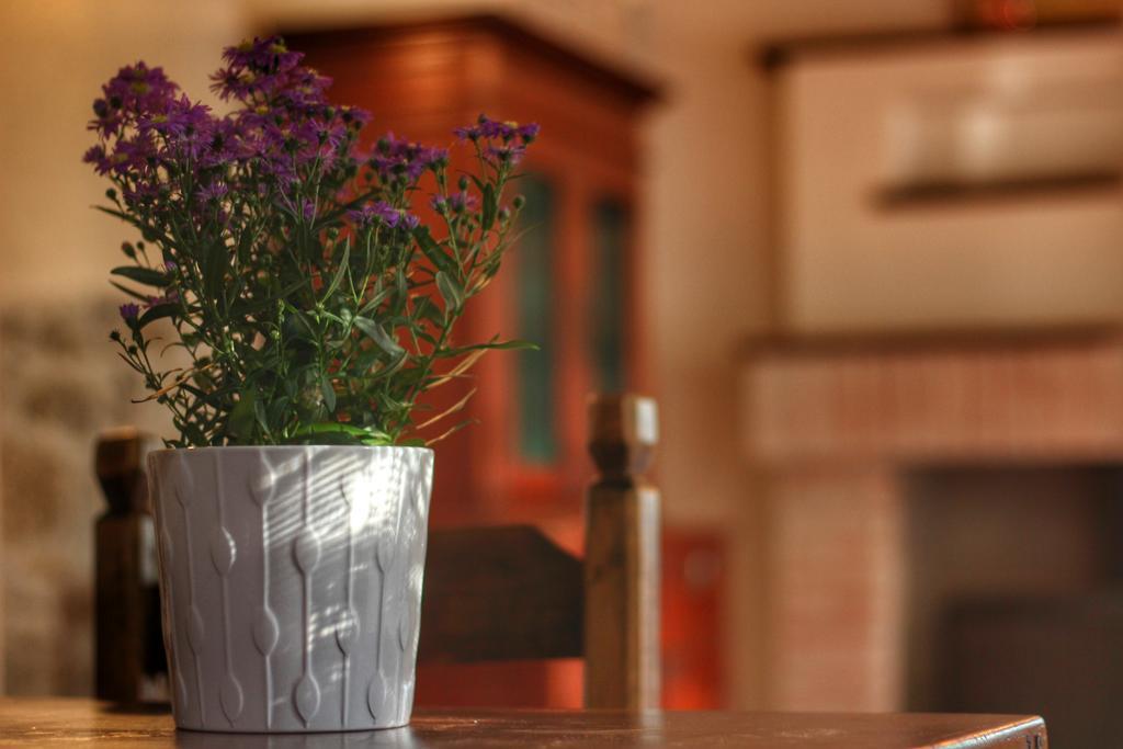 Holiday home Cozzena *